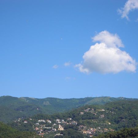 Genovese Villa Elena Appartamenti 瓦拉泽 外观 照片