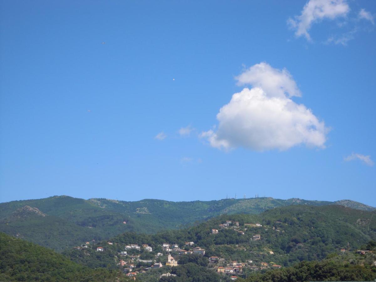 Genovese Villa Elena Appartamenti 瓦拉泽 外观 照片